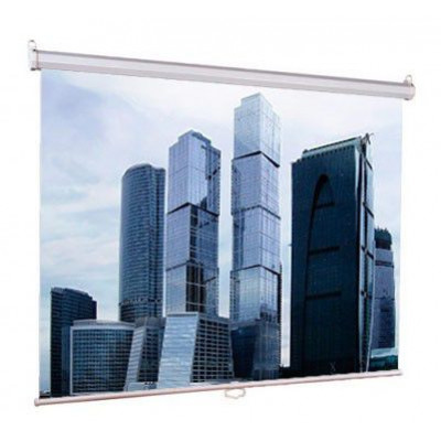 Экран Lumien Eco Picture LEP-100105,  160х160 см, 1:1,  настенно-потолочный