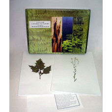 Гербарий "Сорные растения" (24 вида) формат А-3