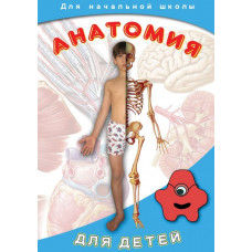 Компакт-диск "Анатомия для детей"
