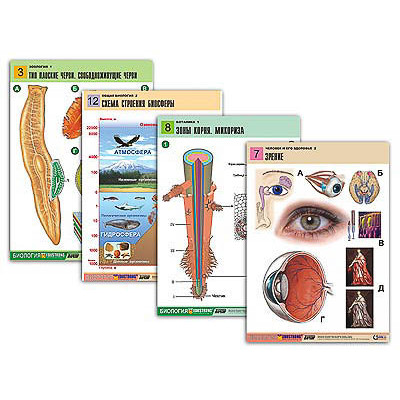 Комплект таблиц по всему курсу биологии (120 шт., А1, полноцв, лам)