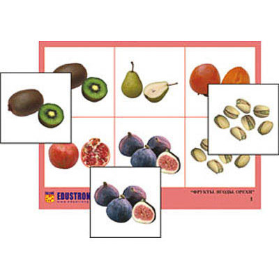 Лото "Фрукты, ягоды, орехи" (4 планшета, 24 карт., цвет., ламинир.)