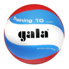Мяч волейб. трен. "GALA Training 10", арт. BV5651S, р. 5, синт. кожа (полиуретан), клееный, бут. камера, нейл. корд, 10 пан., бело-голубо-красный