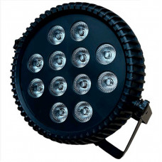 Светодиодный прожектор SHOWLIGHT LED SPOT 12x10W