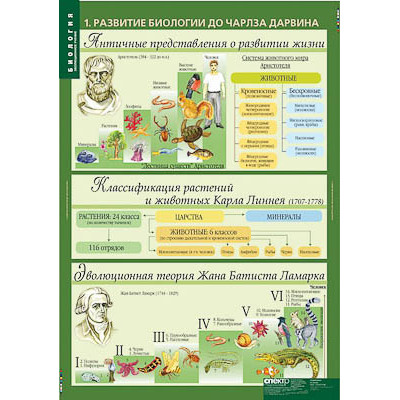 Таблицы демонстрационные "Биология 10-11 классы. Эволюционное учение"