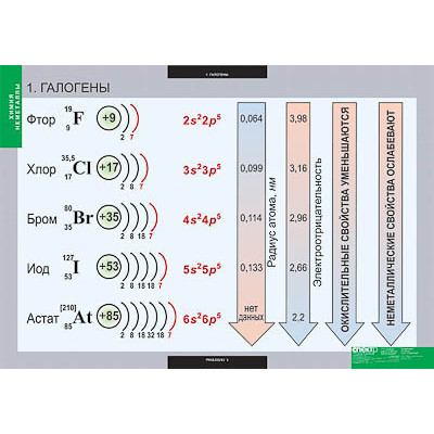 Таблицы демонстрационные "Химия. Неметаллы"