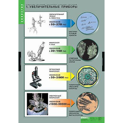 Таблицы демонстрационные "Вещества растений, Клеточное строение"