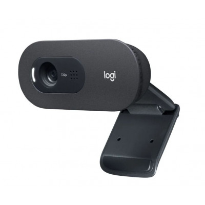 Web-камера Logitech WebCam C505e,  черный [960-001372]