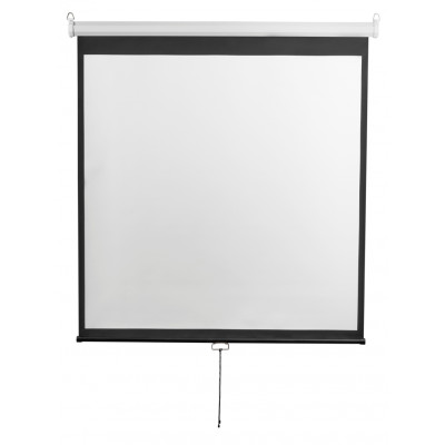 Экран настенный Digis DSOD-16905 Optimal-D формат 16:9 108" 248х144 рабочая поверхность 240х135 MW