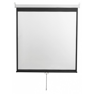 Экран настенный Digis DSOD-16907 Optimal-D формат 16:9 135" 308х177 рабочая поверхность 300х168 MW
