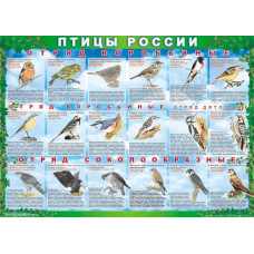 Комплект таблиц Птицы России 4 листа 70х100 винил