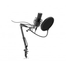 Микрофон Ritmix RDM-180 черный