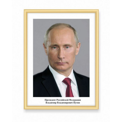 Стенд "Портреты политических лидеров" (рамка "Нельсон") без карманов 0,42х0,56м